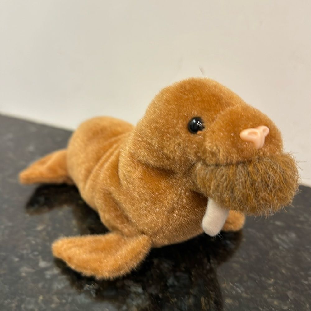 Ty Beanie Baby Paul the Walrus - 1999. Size 8”. No ear tag
